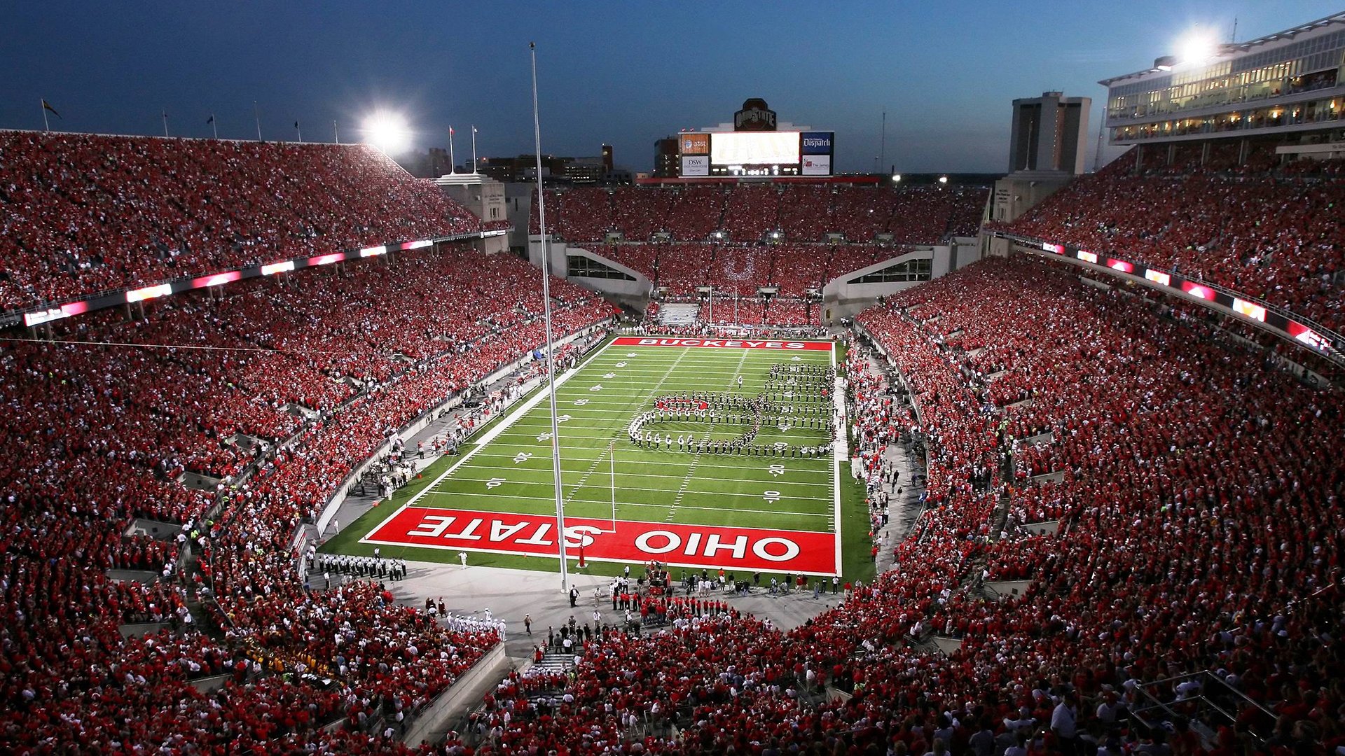 观众席上的欢呼声,展现运动激情,观众们的欢呼声